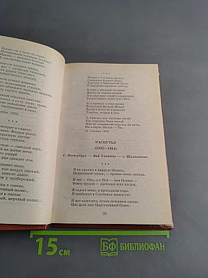 Стихотворения. Поэмы. Школьная хрестоматия