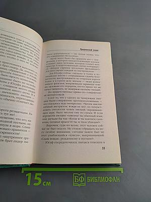 Прерванный полет