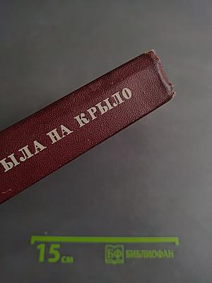 Крылья на крыло