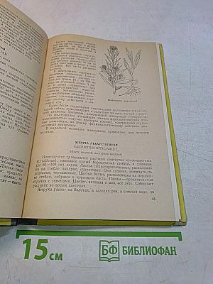 Лекарственные растения Марийской АССР