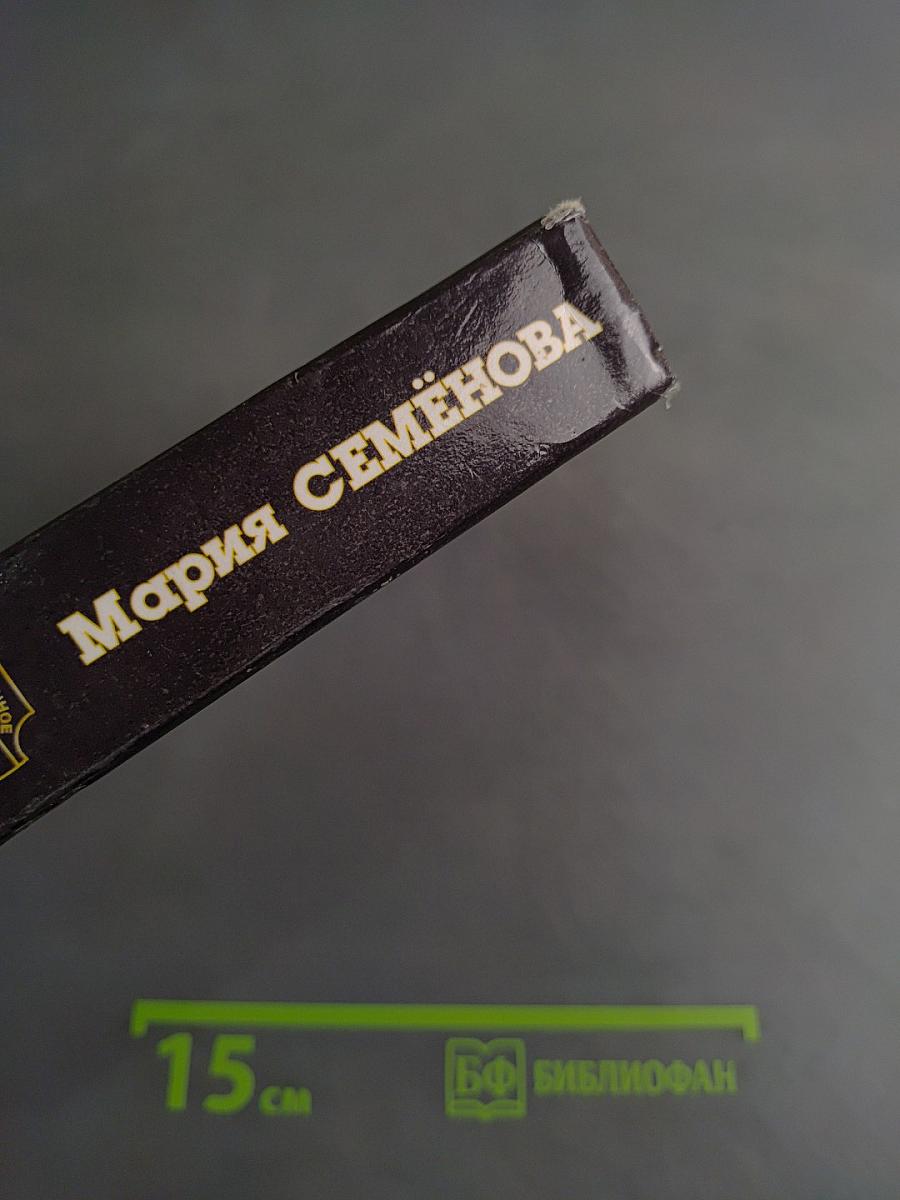 Те же и Скунс – 2. Современная сказка