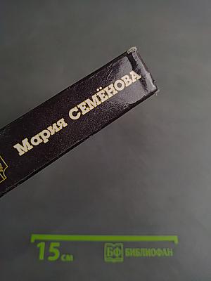 Те же и Скунс – 2. Современная сказка