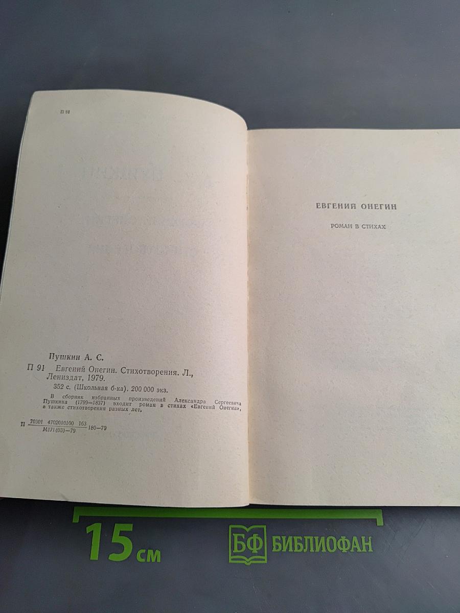 Евгений Онегин. Стихотворения