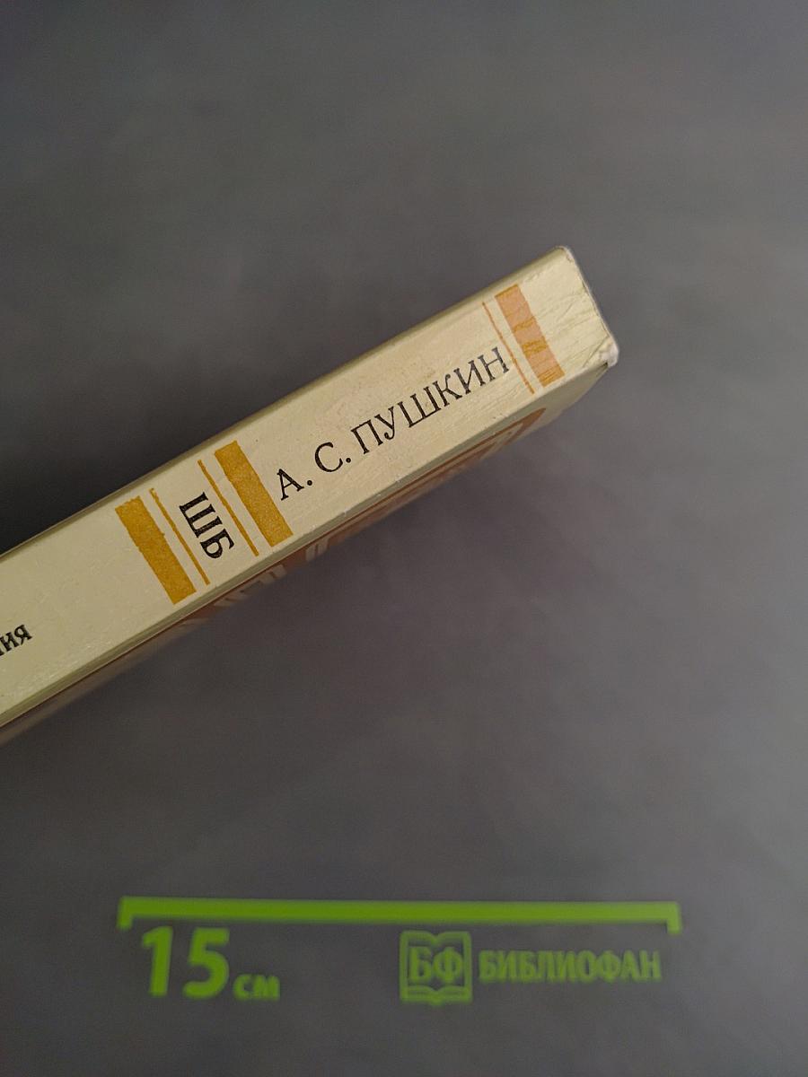 Евгений Онегин. Стихотворения