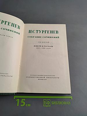 Собрание сочинений. Том шестой. Повести и рассказы 1854-1860 годов