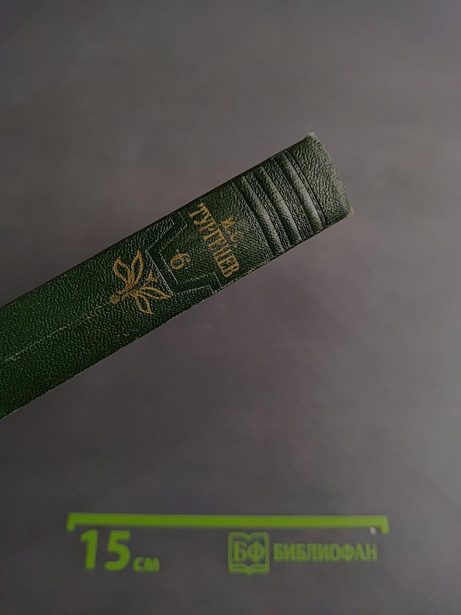 Собрание сочинений. Том шестой. Повести и рассказы 1854-1860 годов