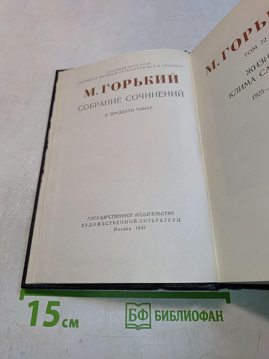Собрание сочинений в тридцати томах. Том 22. Жизнь Клима Самгина