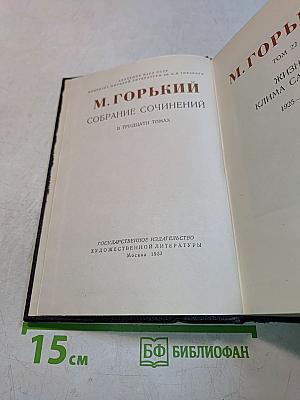 Собрание сочинений в тридцати томах. Том 22. Жизнь Клима Самгина