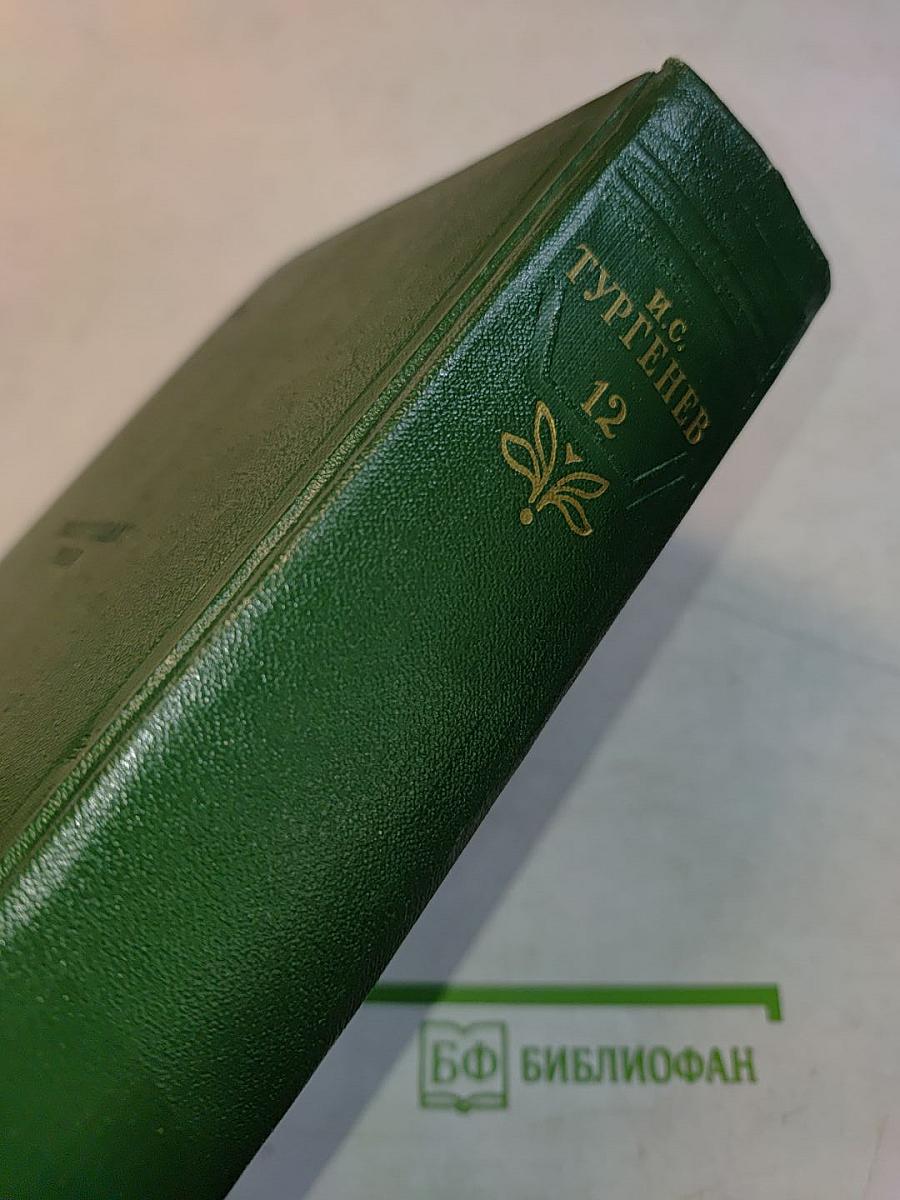 Собрание сочинений. Том двенадцатый. Письма 1831-1883