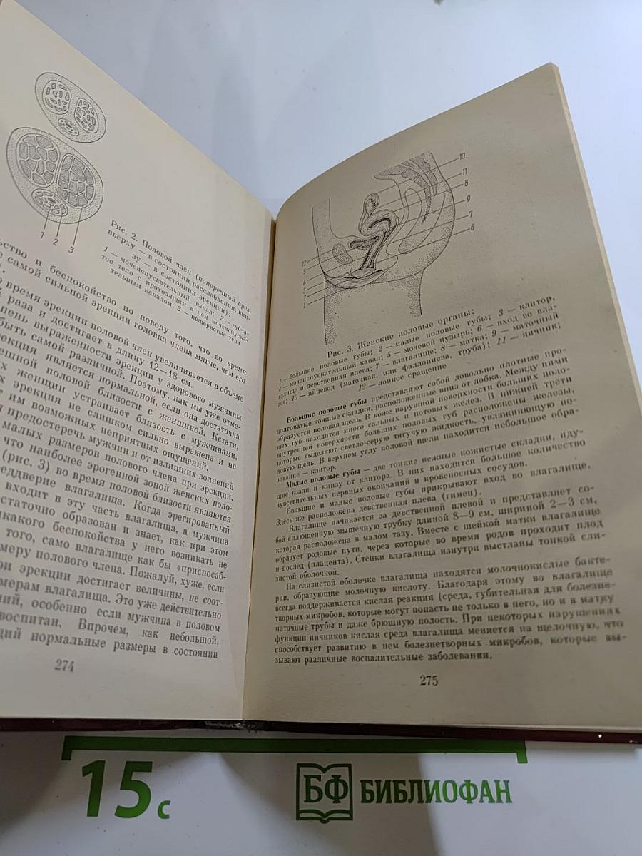 Начала семейной жизни. Мужчина и женщина: Отношения полов
