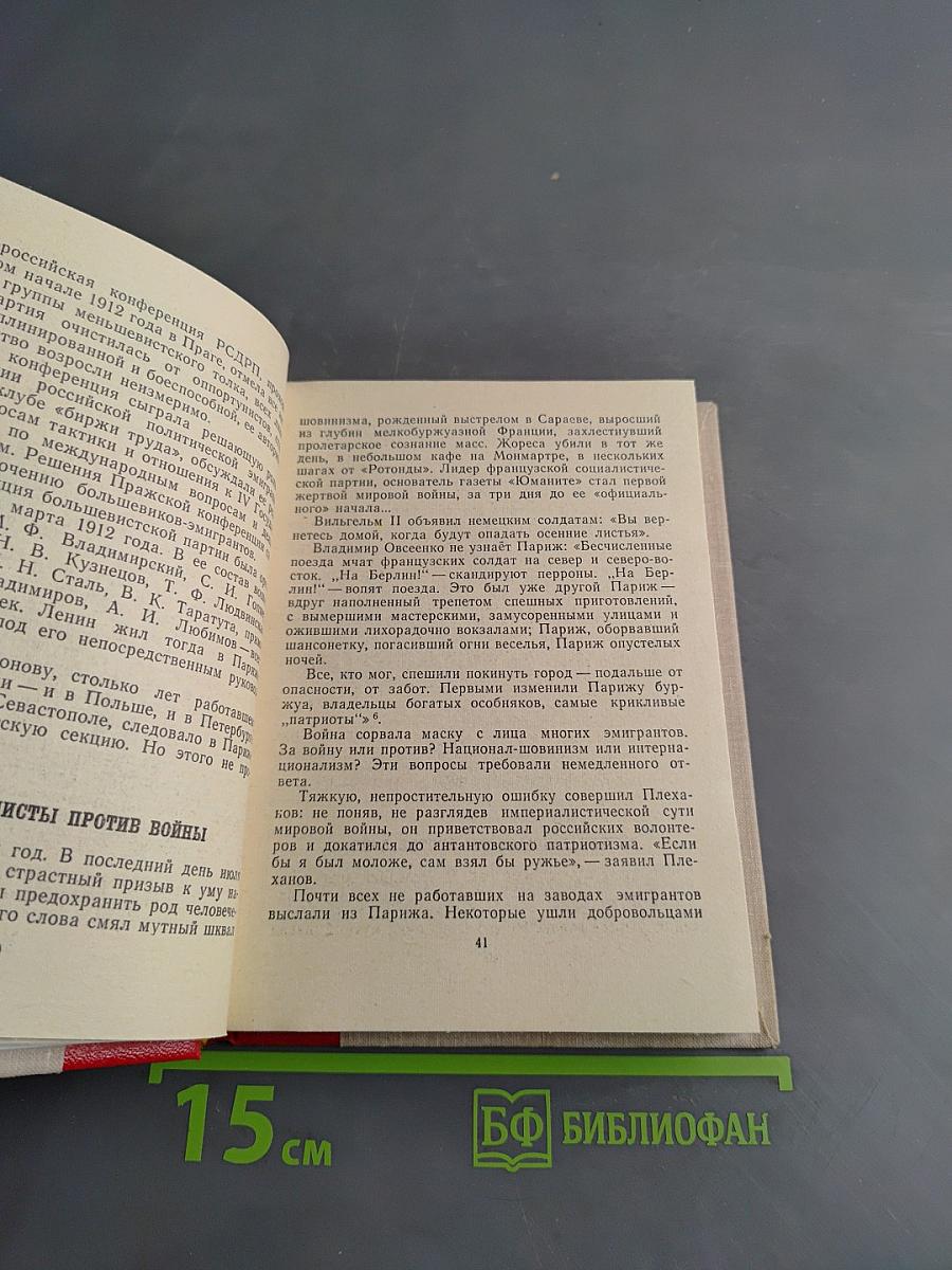 В.А. Антонов-Овсеенко. Документальный биографический очерк