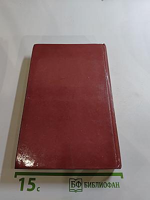 Начала семейной жизни. Мужчина и женщина: Отношения полов