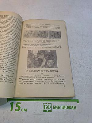 Начинающему фотолюбителю