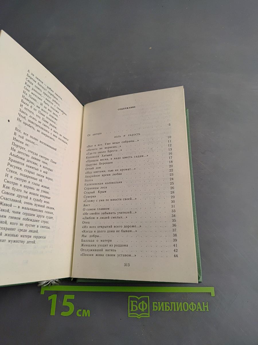 Рожденье дня. Книга стихов