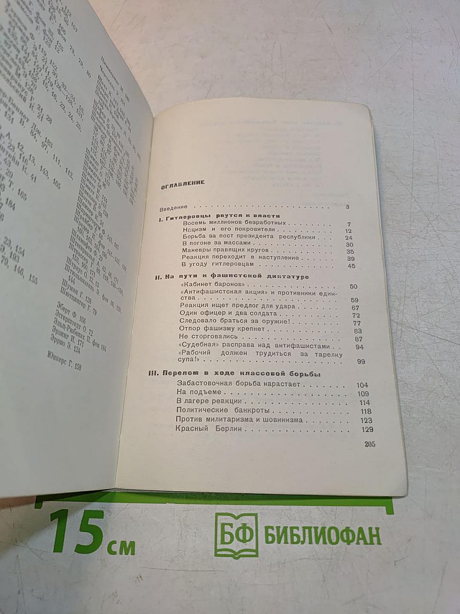 Тень фашистской свастики. Как Гитлер пришел к власти