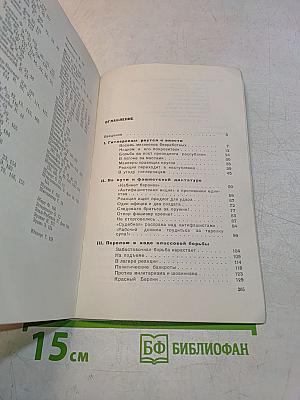 Тень фашистской свастики. Как Гитлер пришел к власти