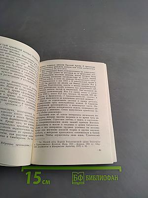 Маршал М.Н. Тухачевский