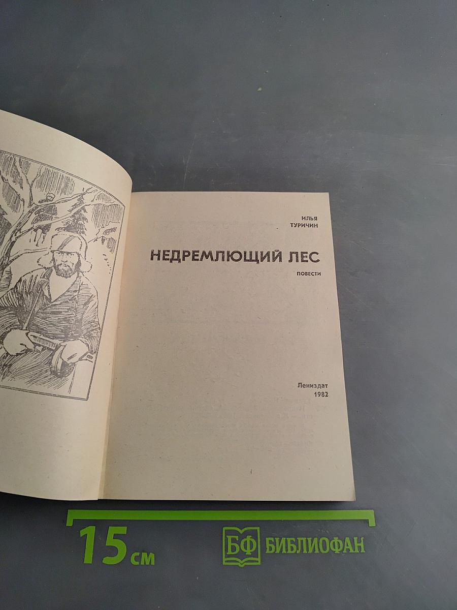 Недремлющий лес