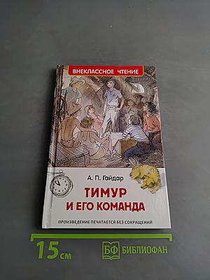 Тимур и его команда