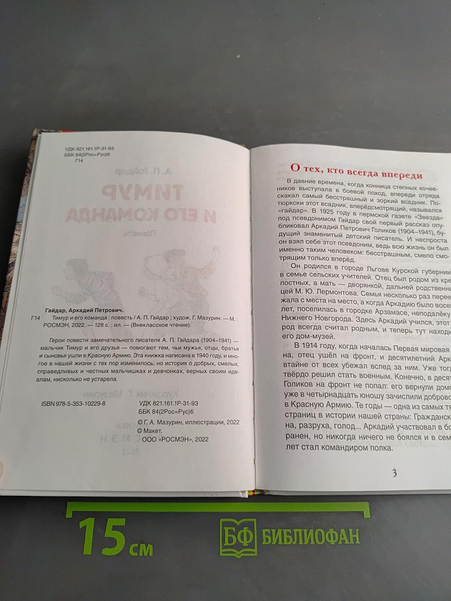 Тимур и его команда