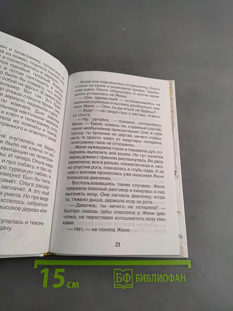Тимур и его команда