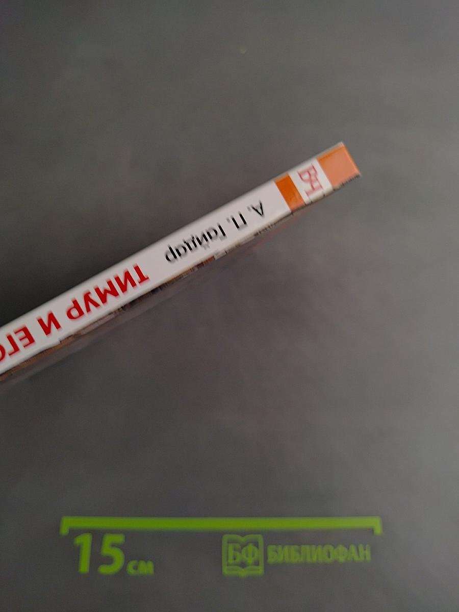 Тимур и его команда
