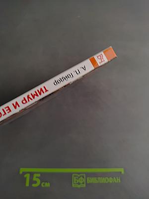 Тимур и его команда