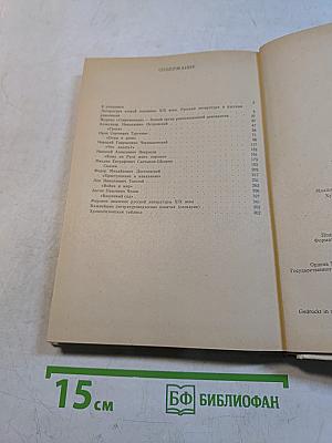 Русская литература. 9 класс