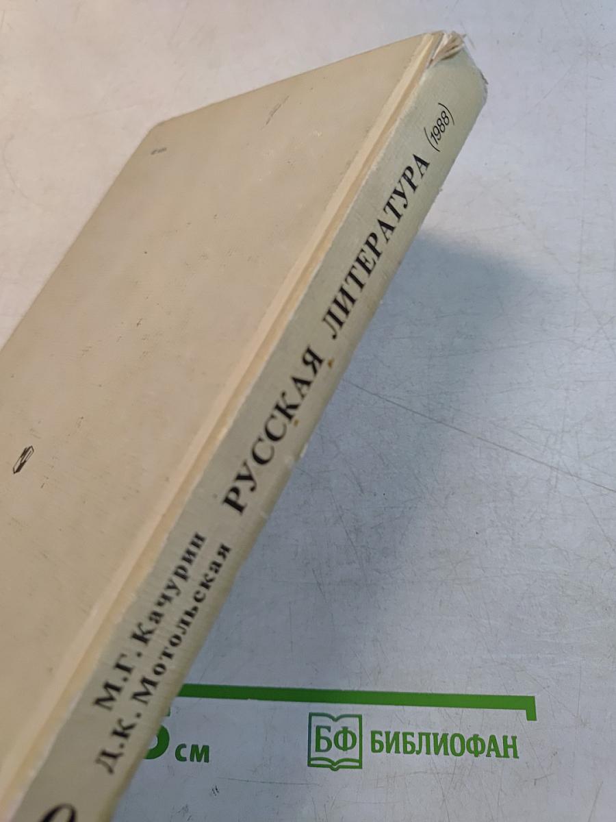 Русская литература. 9 класс