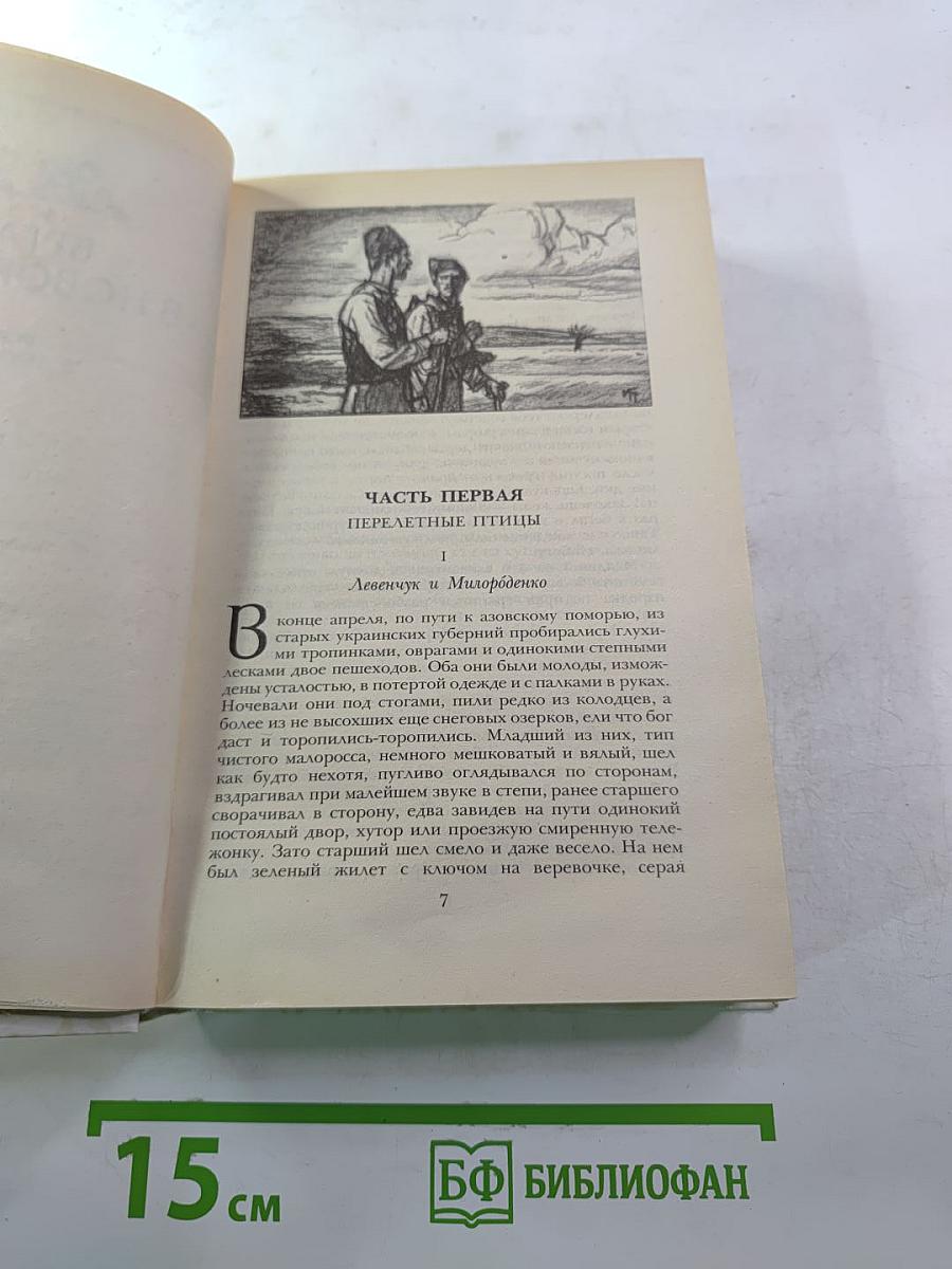 Беглые в Новороссии. Воля. Княжна Тараканова