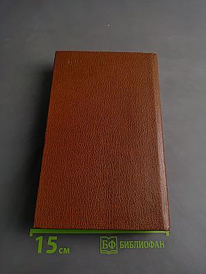 Записки современника. Дневник чиновника. Часть вторая