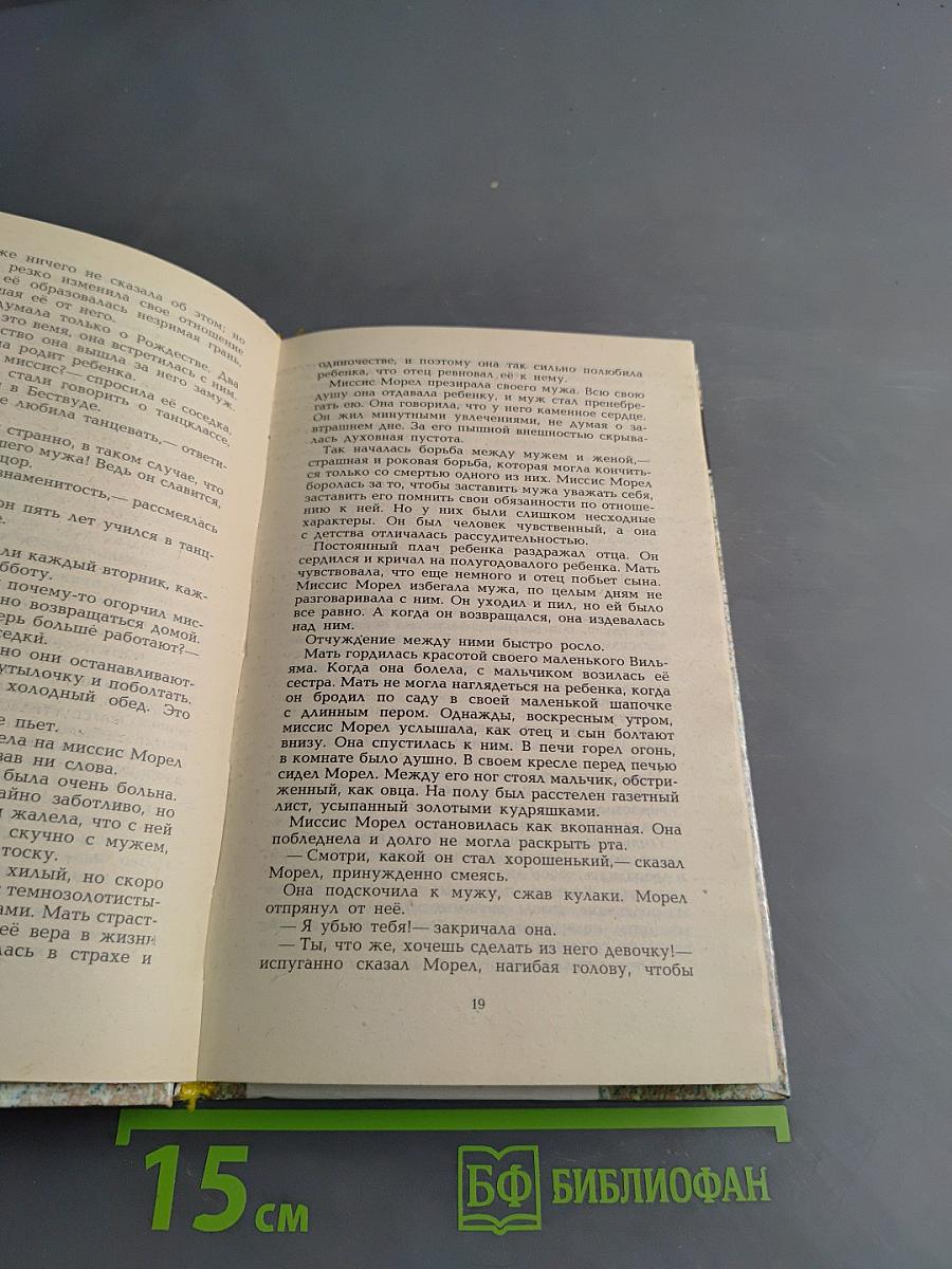 Сыновья и любовники. Рассказы