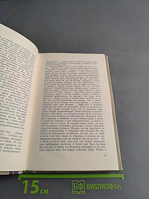 Небесный камень. Третьи горы