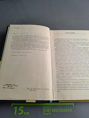 Массаж для взрослых и детей