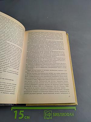 Массаж для взрослых и детей