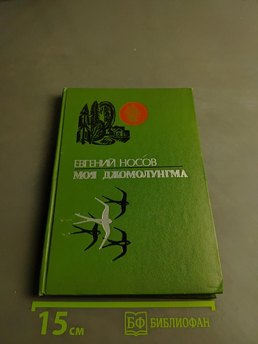 Моя джомолунгма