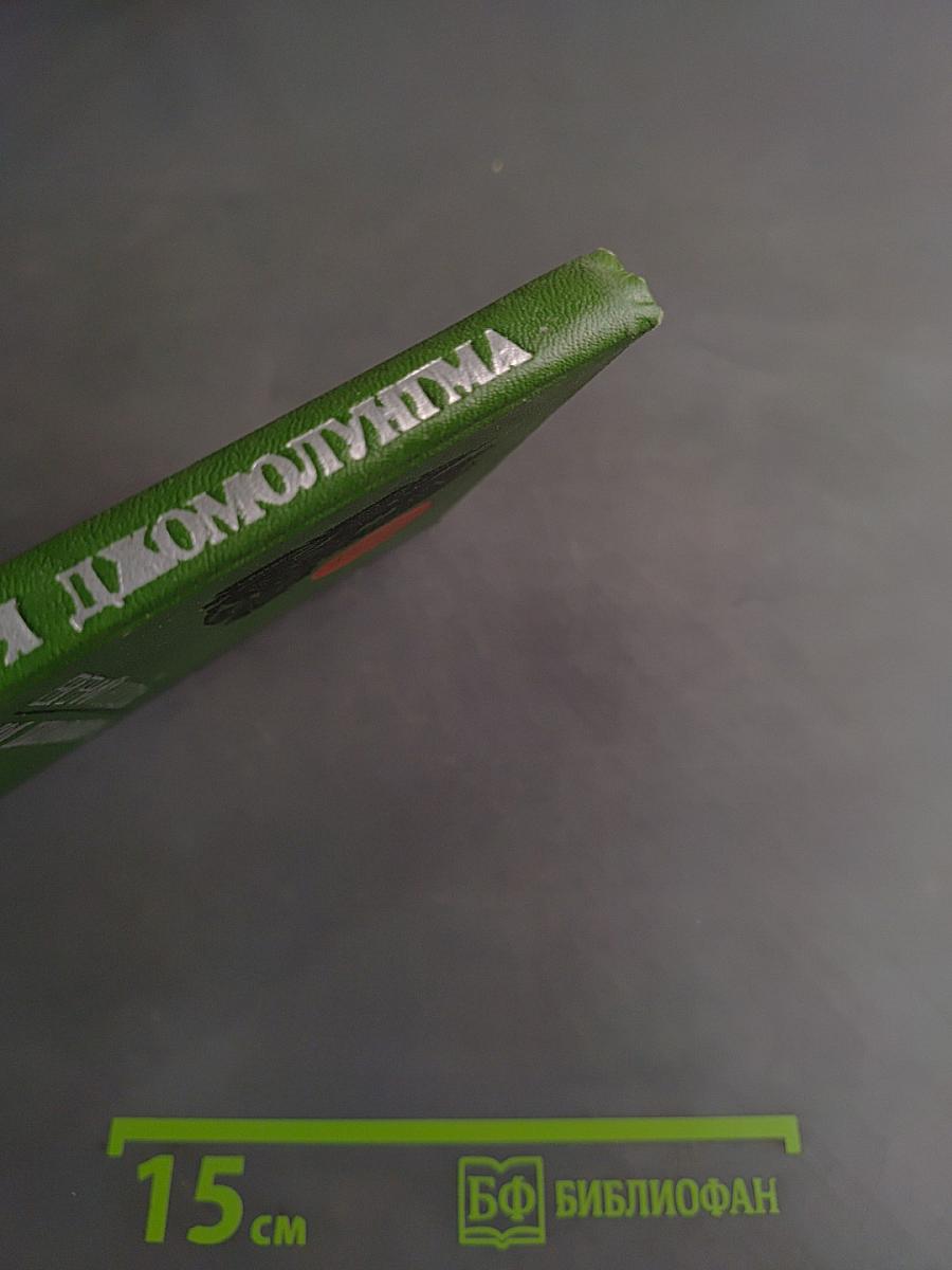 Моя джомолунгма