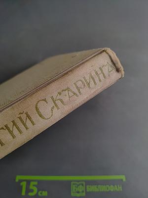 Георгий Скарина