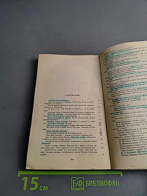 100 лучших сочинений для выпускников средней школы и абитуриентов