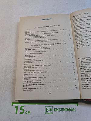 В мире русской литературы. 4 класс