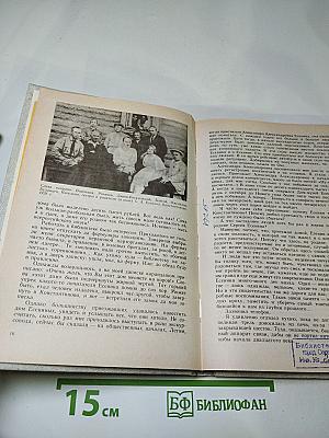 В старинном селе над Окой. Путешествие на родину Сергея Есенина. Книга для учащихся старших классов
