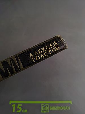 Хождение по мукам. Трилогия. Книга третья. Хмурое утро