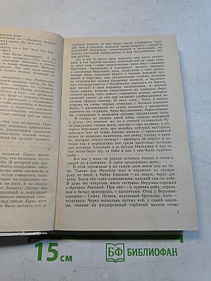 Увятские шлемоносцы