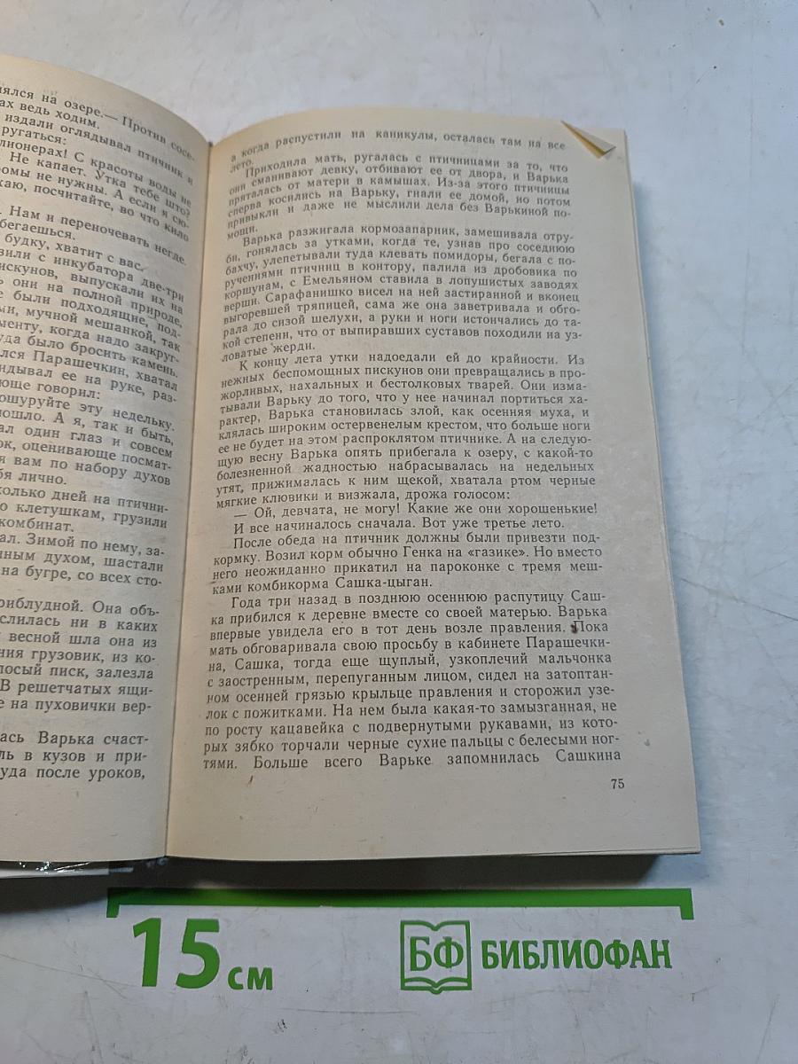 Увятские шлемоносцы