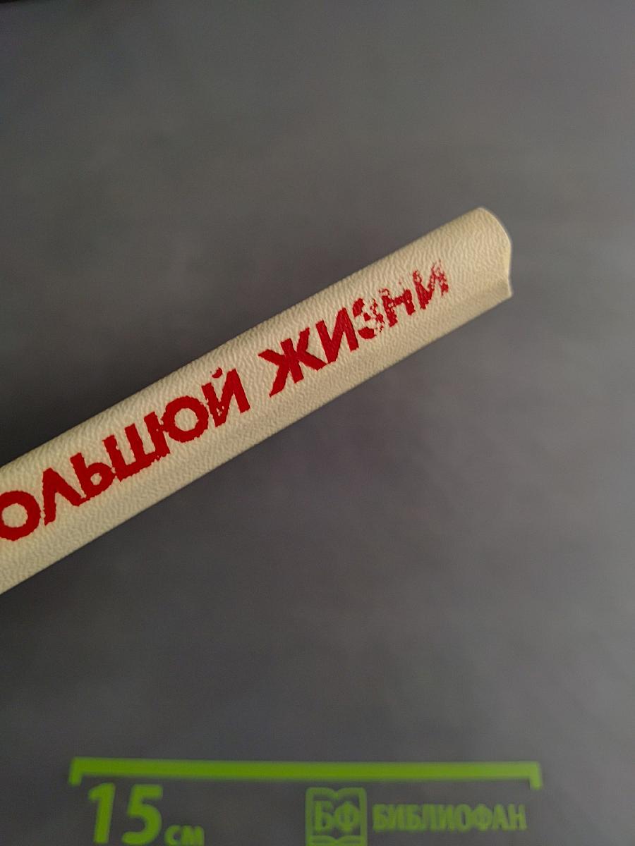 Страницы большой жизни