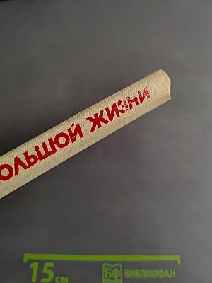 Страницы большой жизни