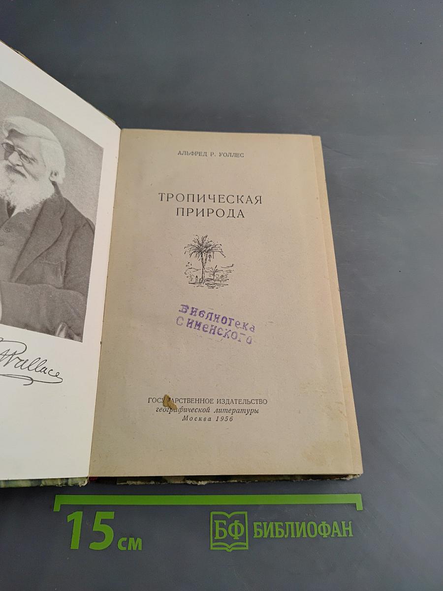 Тропическая природа