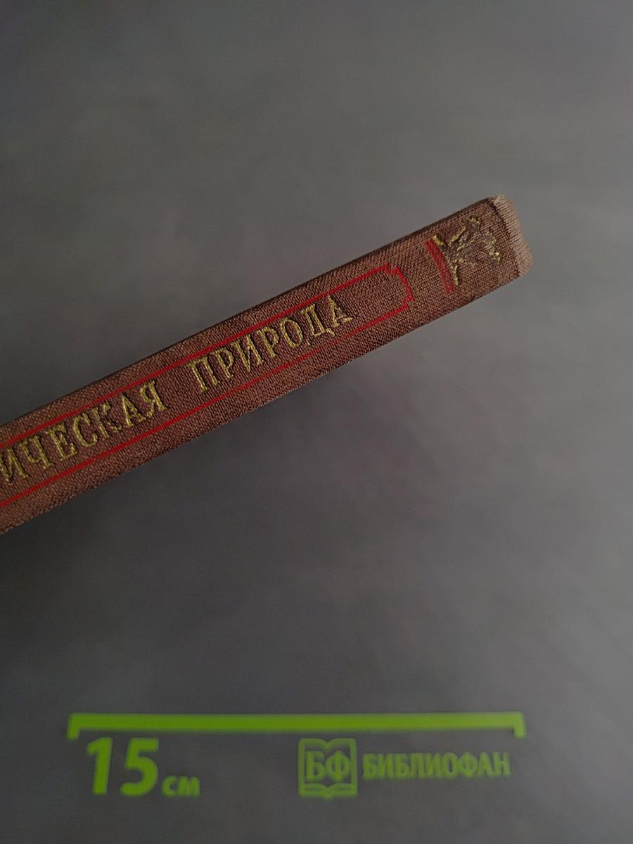 Тропическая природа