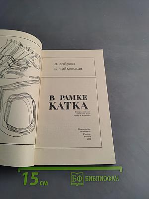 В рамке катка
