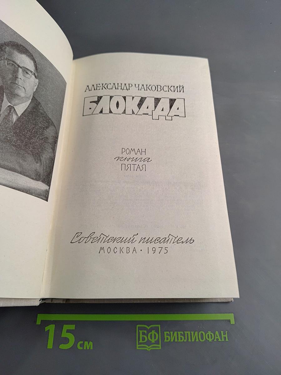 Блокада. Роман. Книга пятая